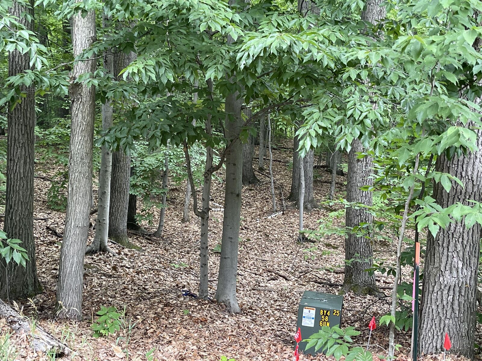 Property Photo: 777*779 Waneta Court MI 49735