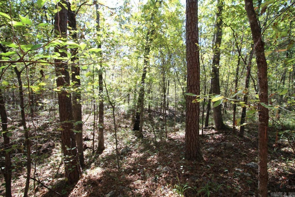 Property Photo:  2159 Hwy 270  AR 72926 