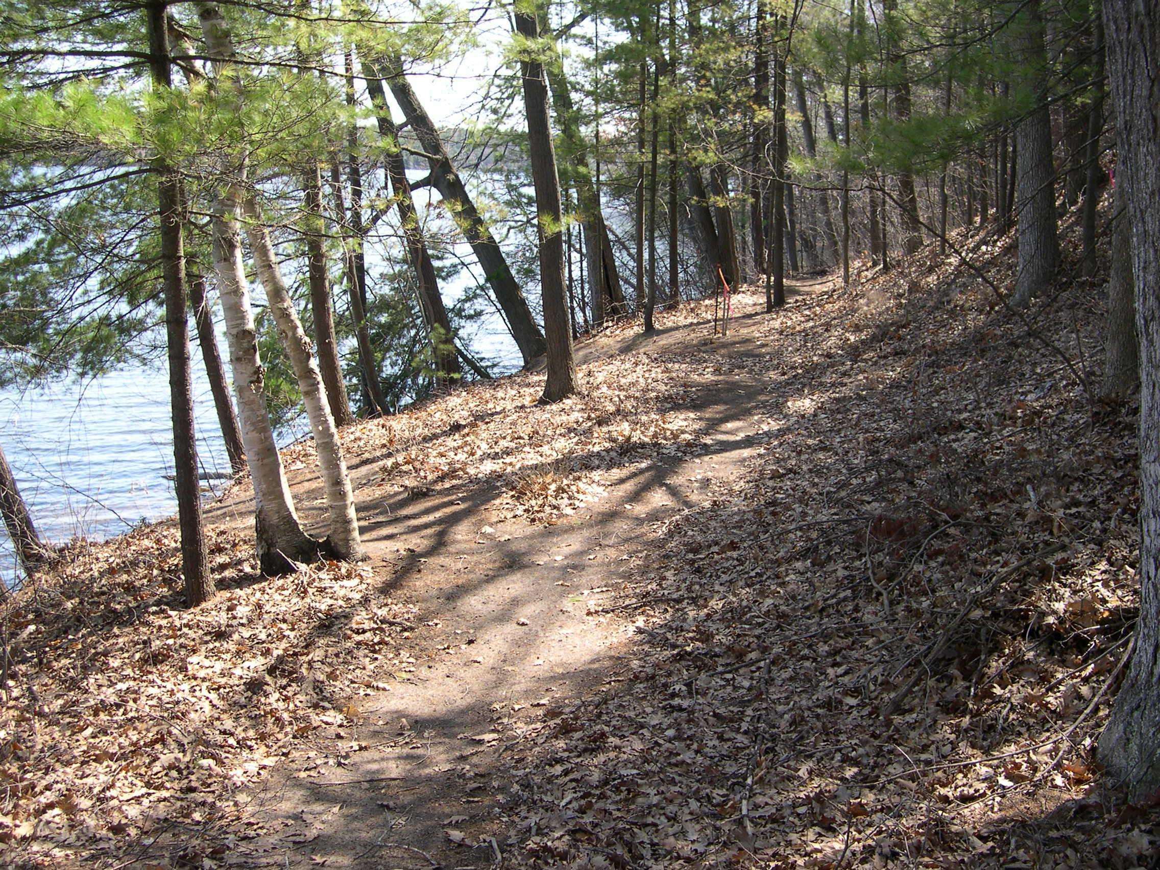 Property Photo: 1565 Edgewater Ridge MI 49684