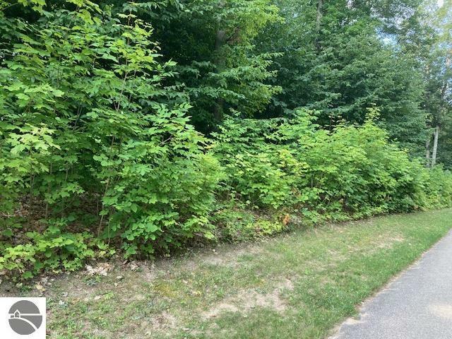 Lot 275 Robinson Ridge  Bellaire MI 49615 photo