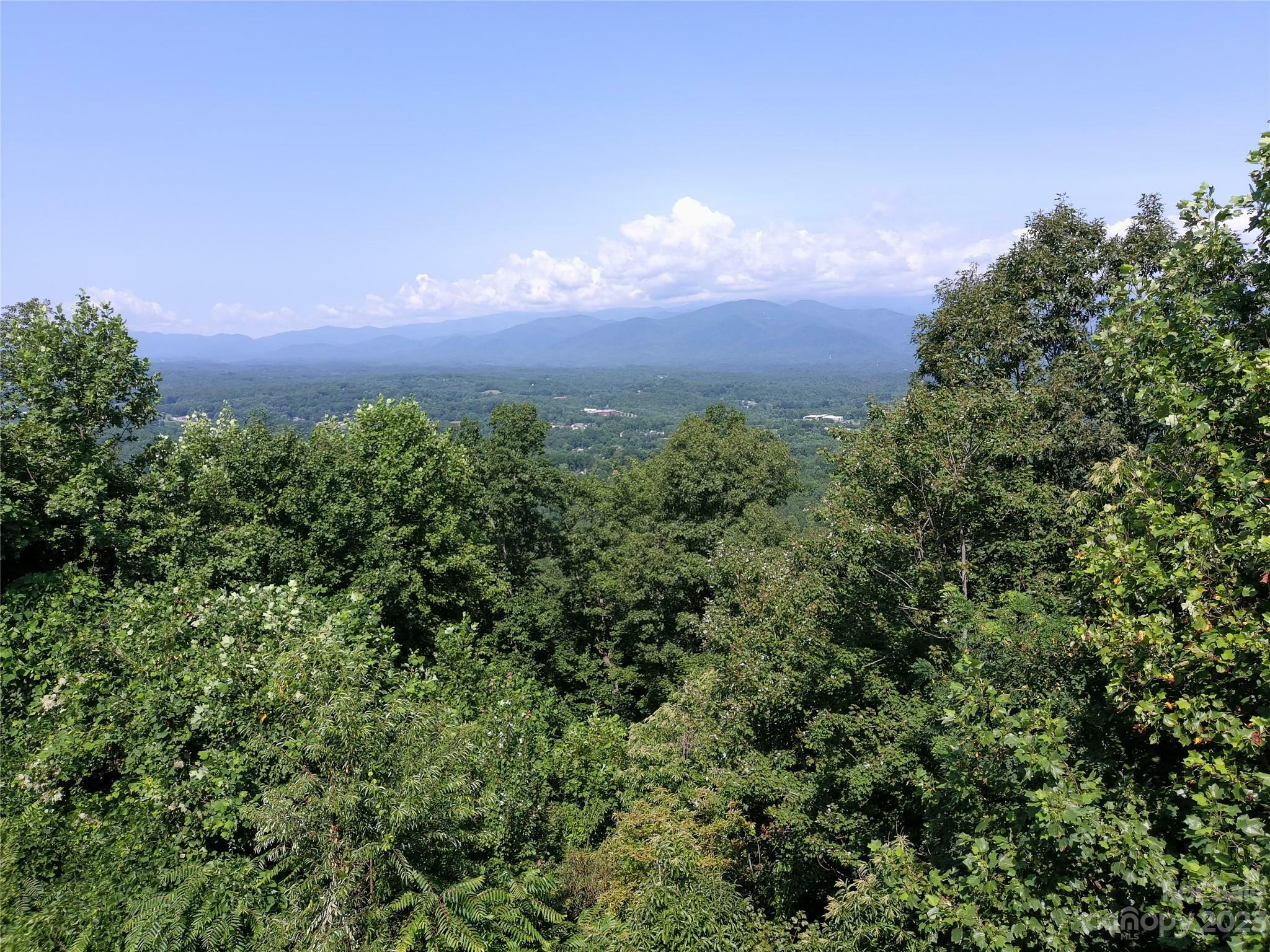 Property Photo:  Lot 10 Grants Mountain Road  NC 28752 