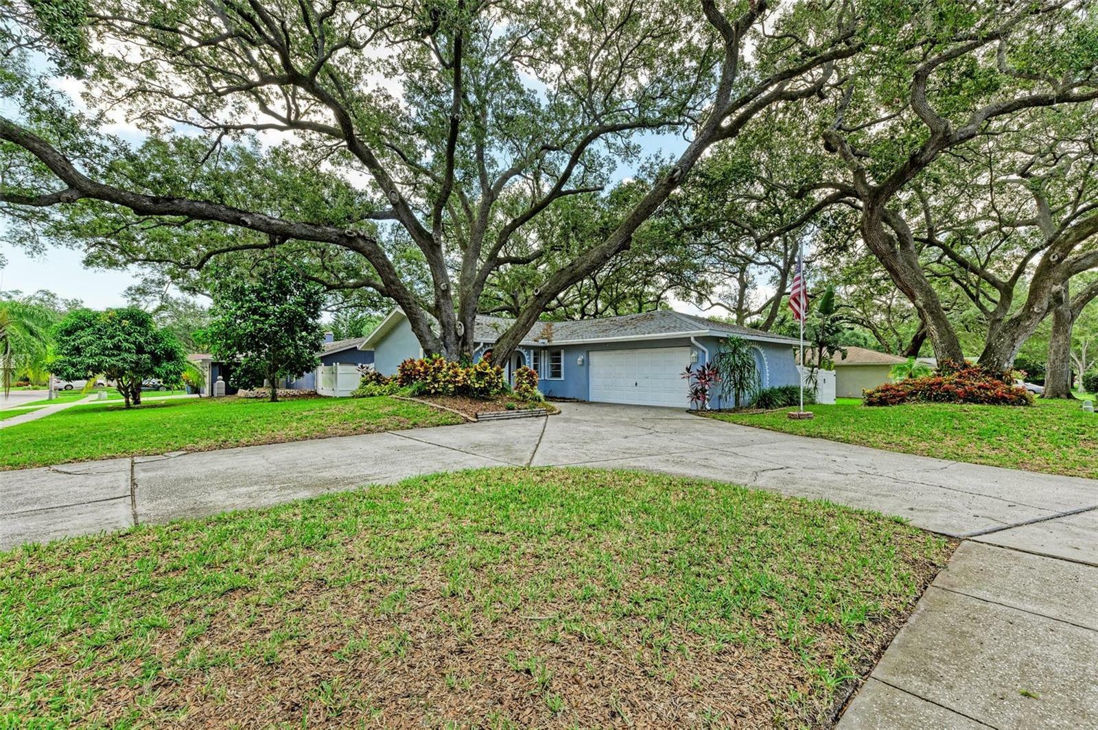 Property Photo:  1012 Wood Street  FL 33770 