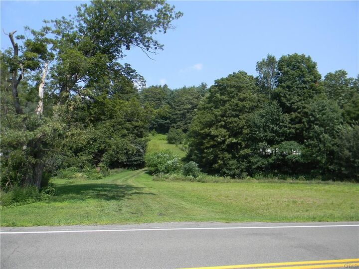 MLSS1491136 0 Cold Brook Road, Homer, NY 13077