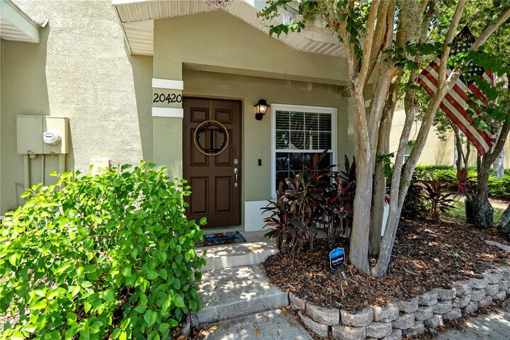 Property Photo:  20420 Berrywood Lane  FL 33647 