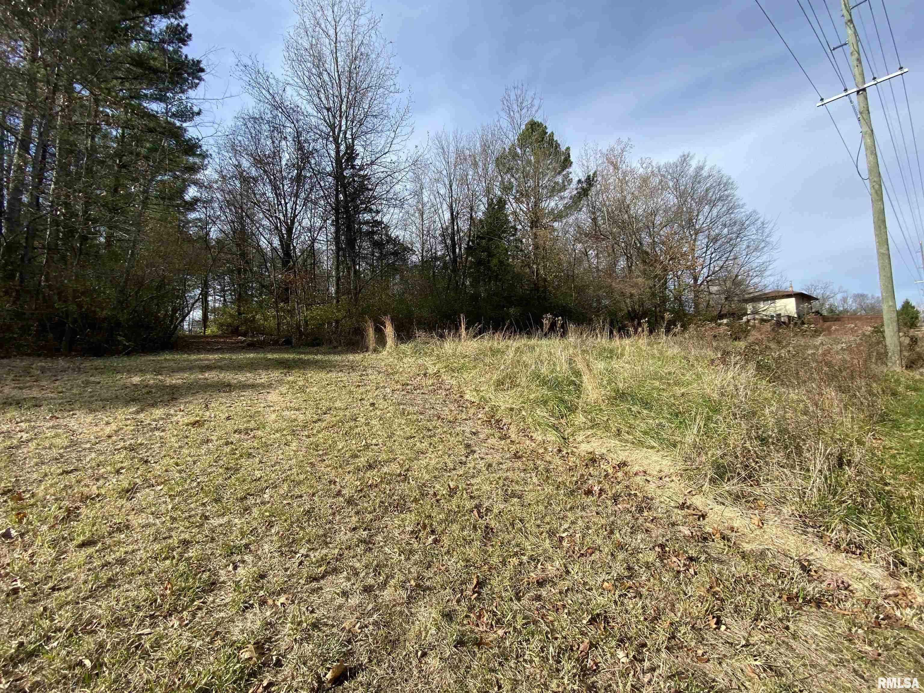 Property Photo: 00 Wood Road IL 62966