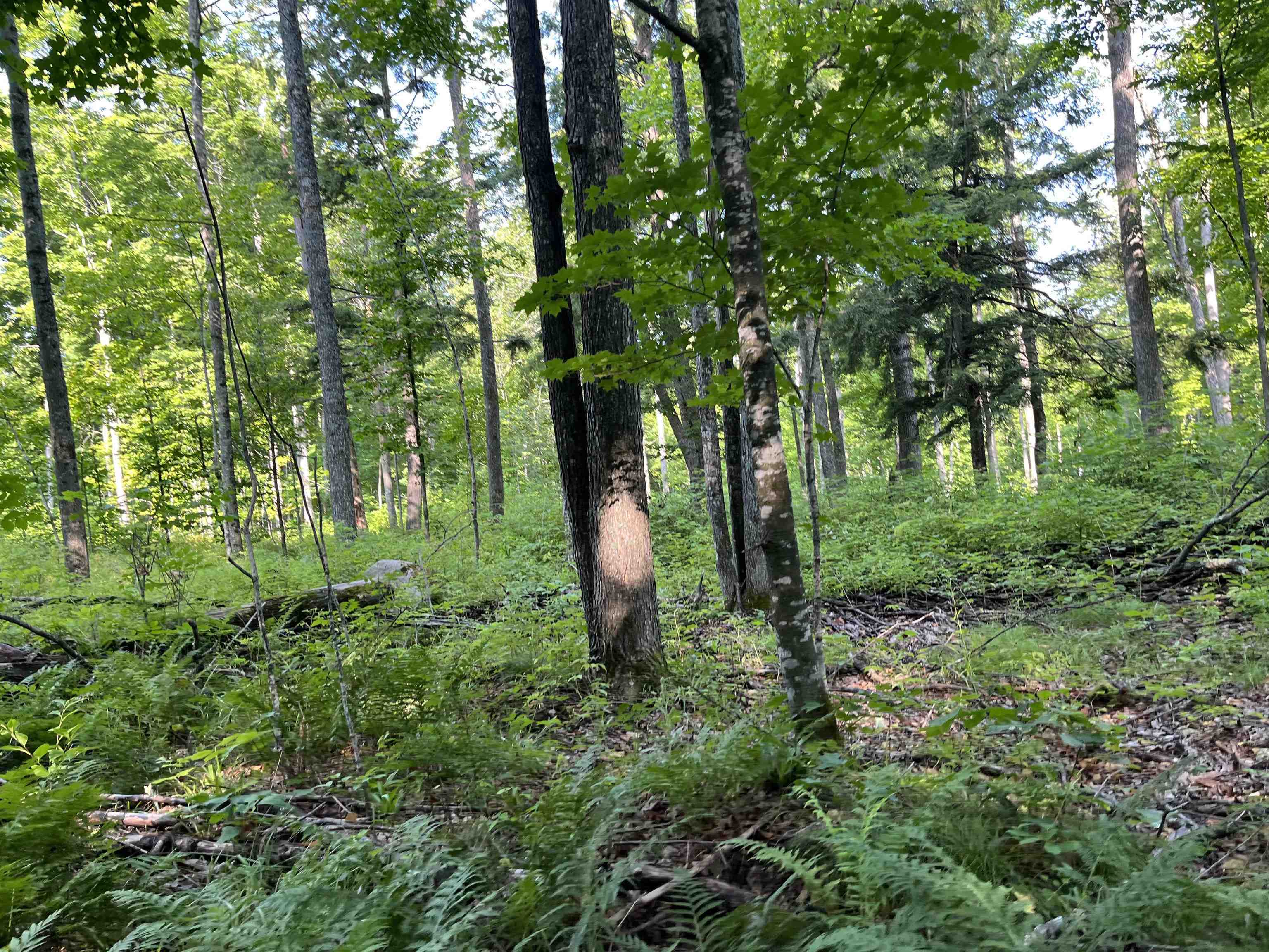 Property Photo:  On Range Line Lake  WI 54566 