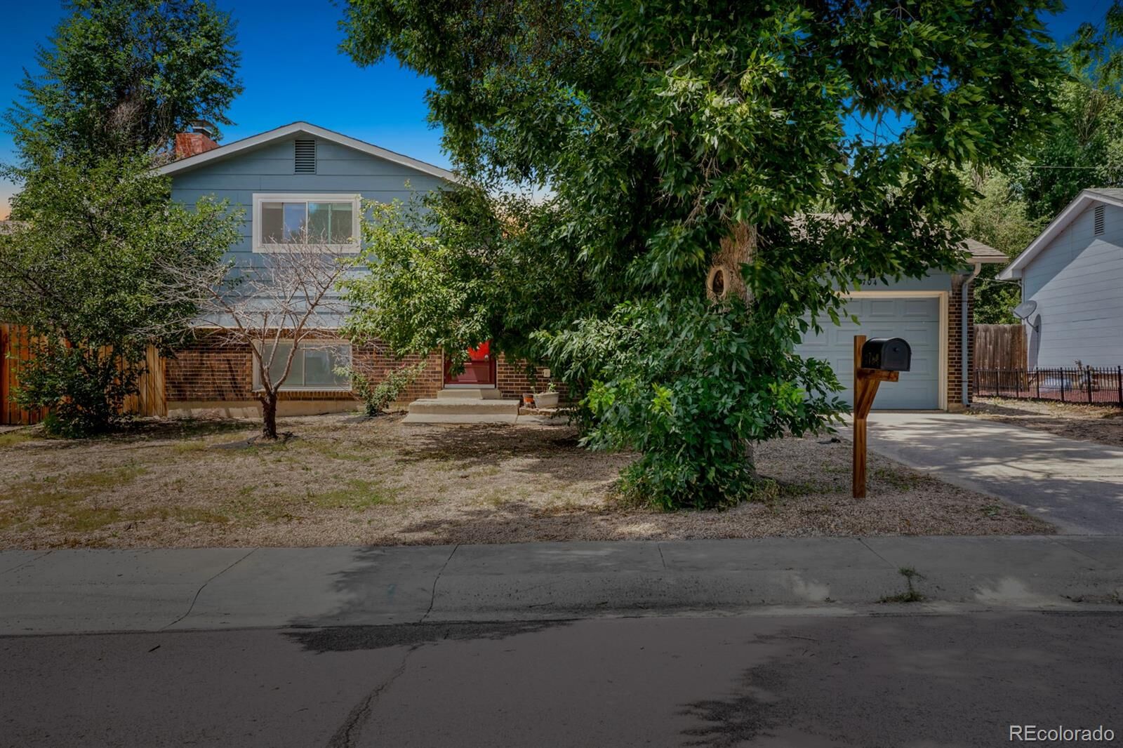 Property Photo:  3704 Indianpipe Circle  CO 80918 