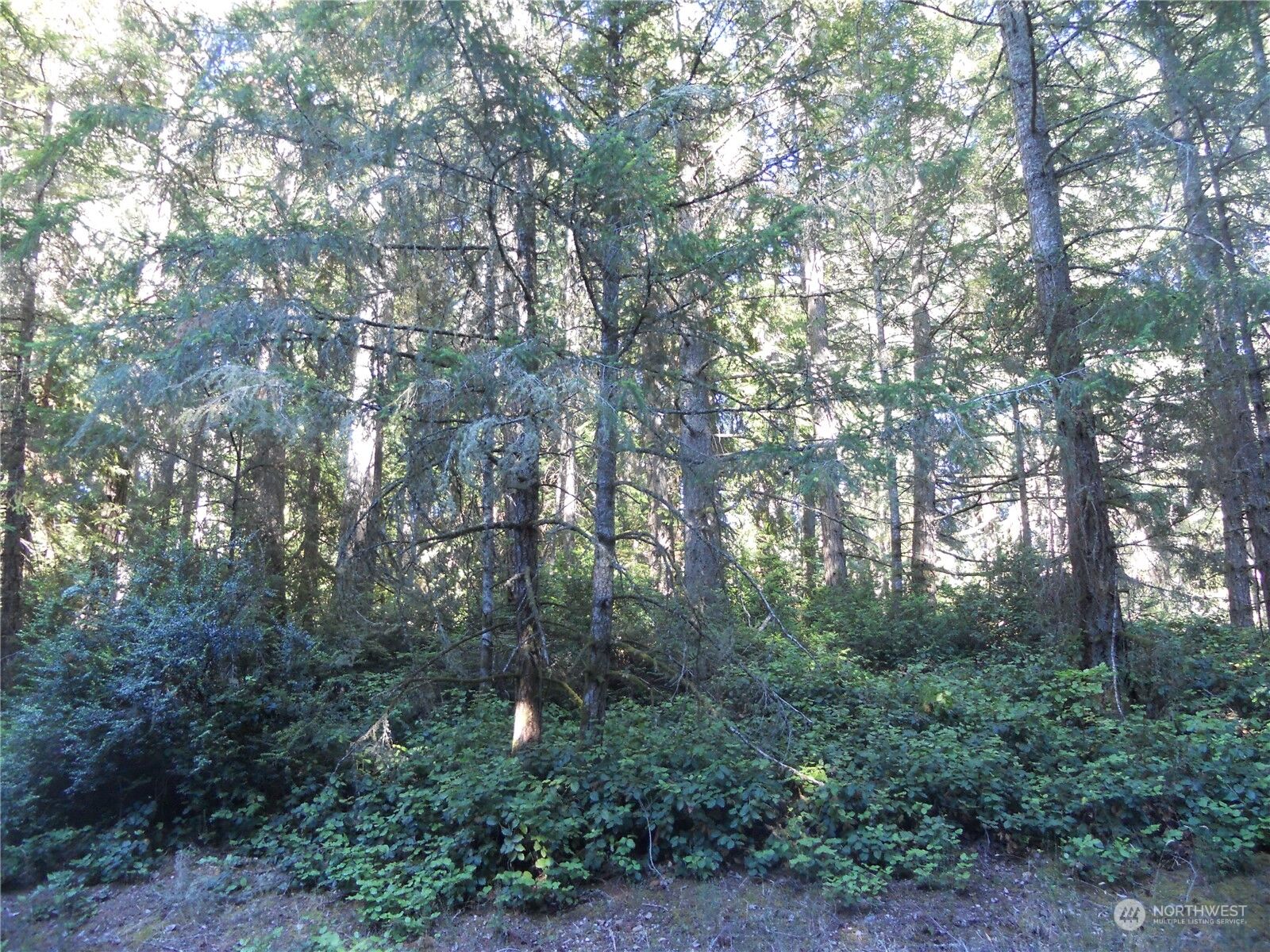 Property Photo: 12315 110th Street Ct WA 98303