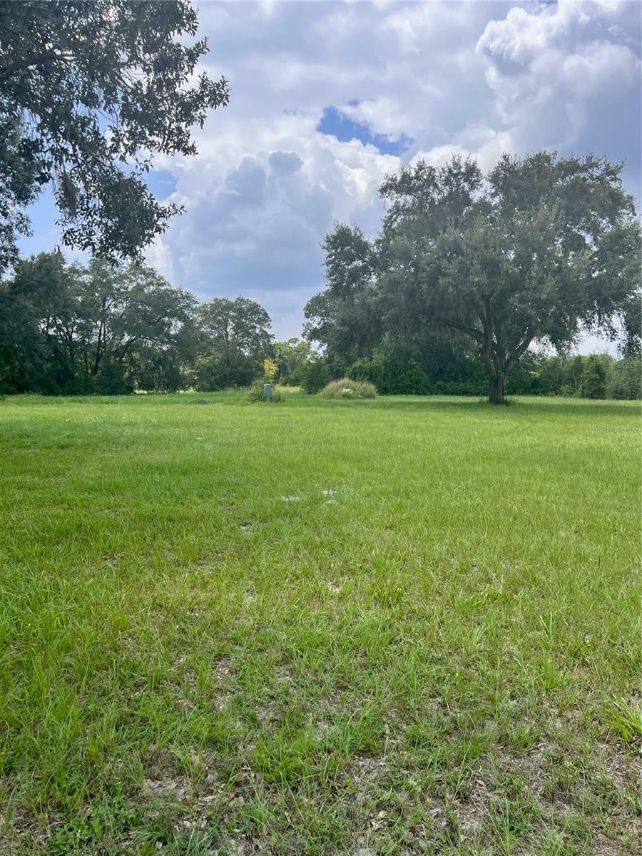 Property Photo: 35347 Micro Racetrack Road FL 34731