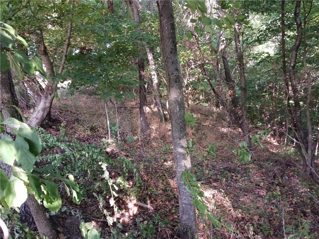 Property Photo:  Lot 13 & 14 N Lakeview Drive  AR 72756 