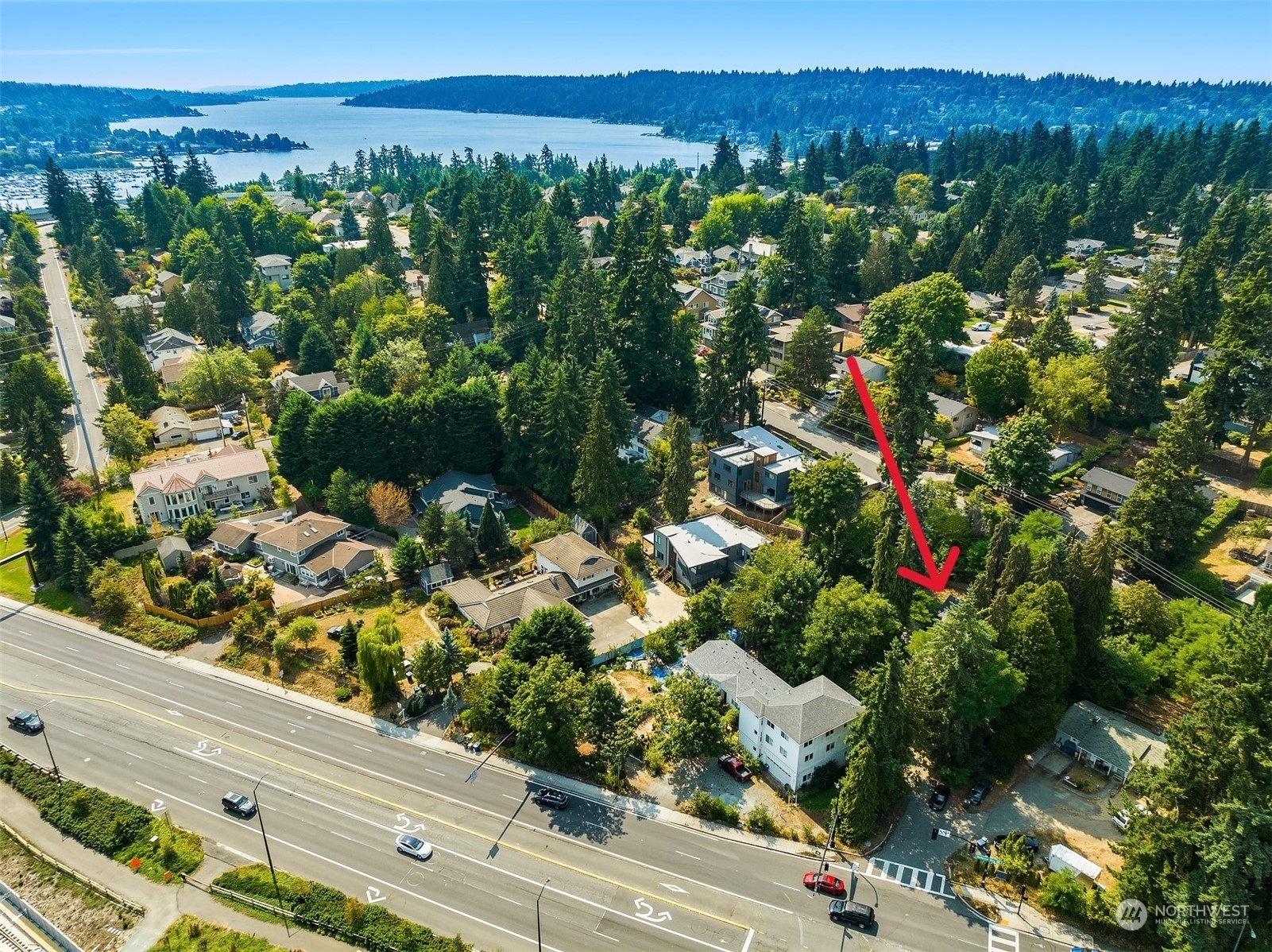 2821 Bellevue Way SE  Bellevue WA 98004 photo
