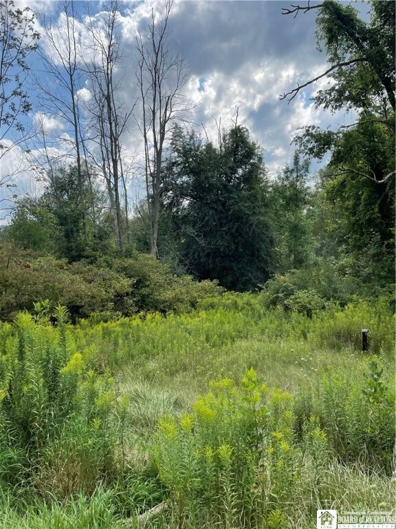 Property Photo: 17 Conewango Road NY 14772