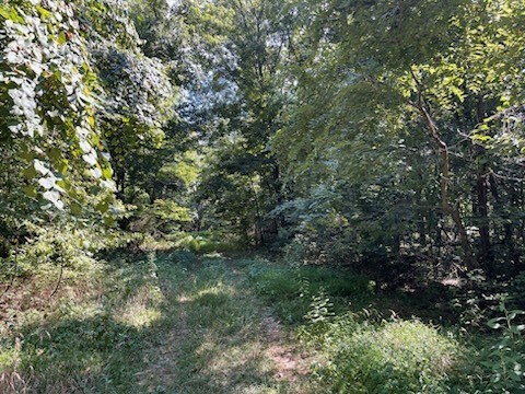 Lot 287 Arabian Drive  Garfield AR 72732 photo