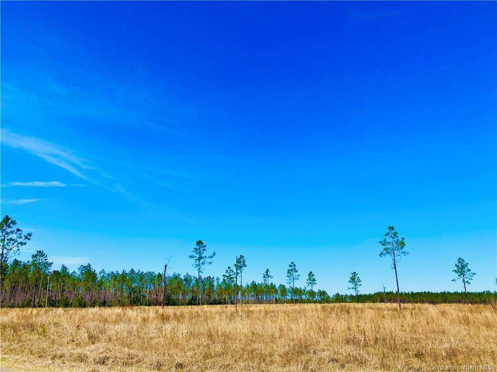 Property Photo: 0 Camp Edgewood Road LA 70633