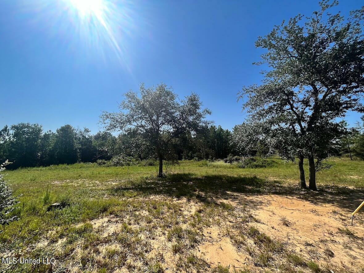 Property Photo:  1.24 Acres Highway 11 &Amp Highland Parkway  MS 39466 