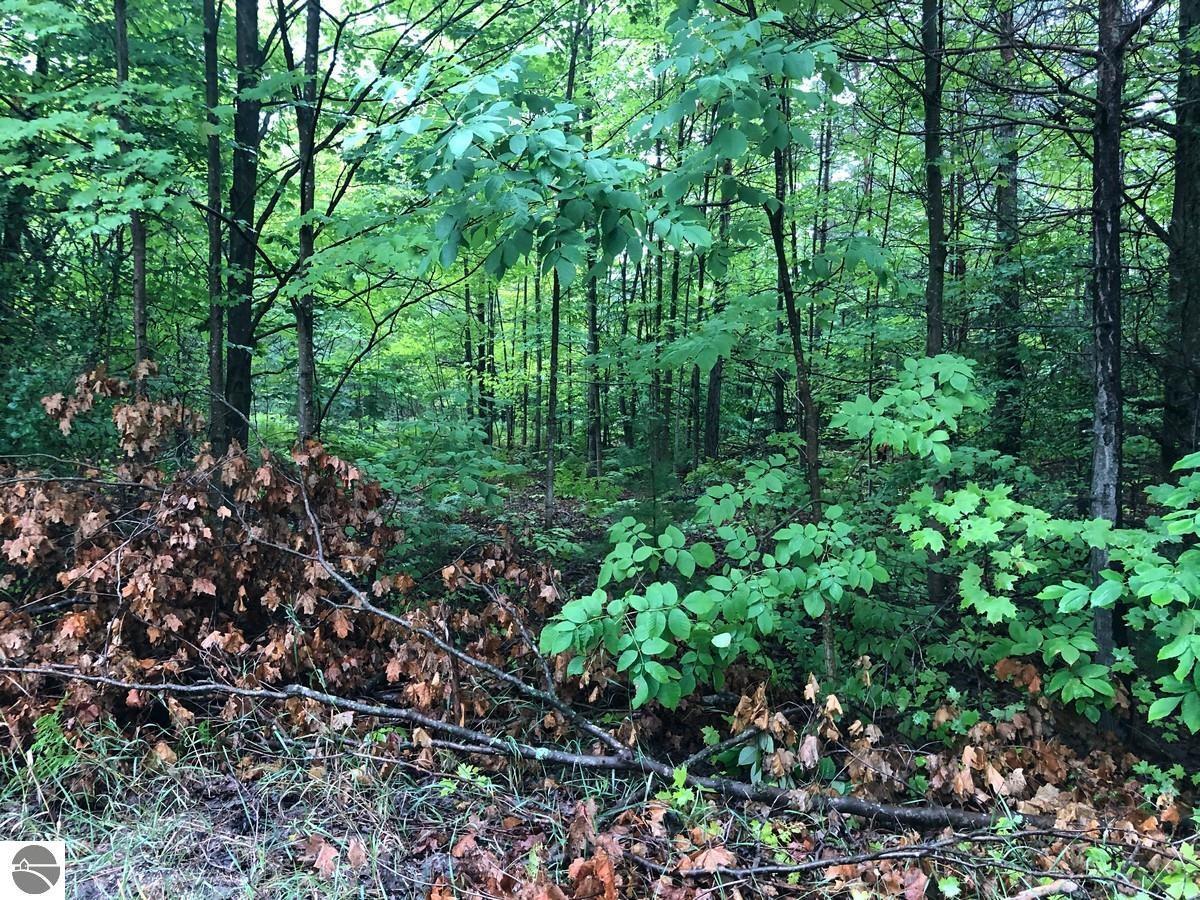 Property Photo:  Vl S Weldon  MI 49617 