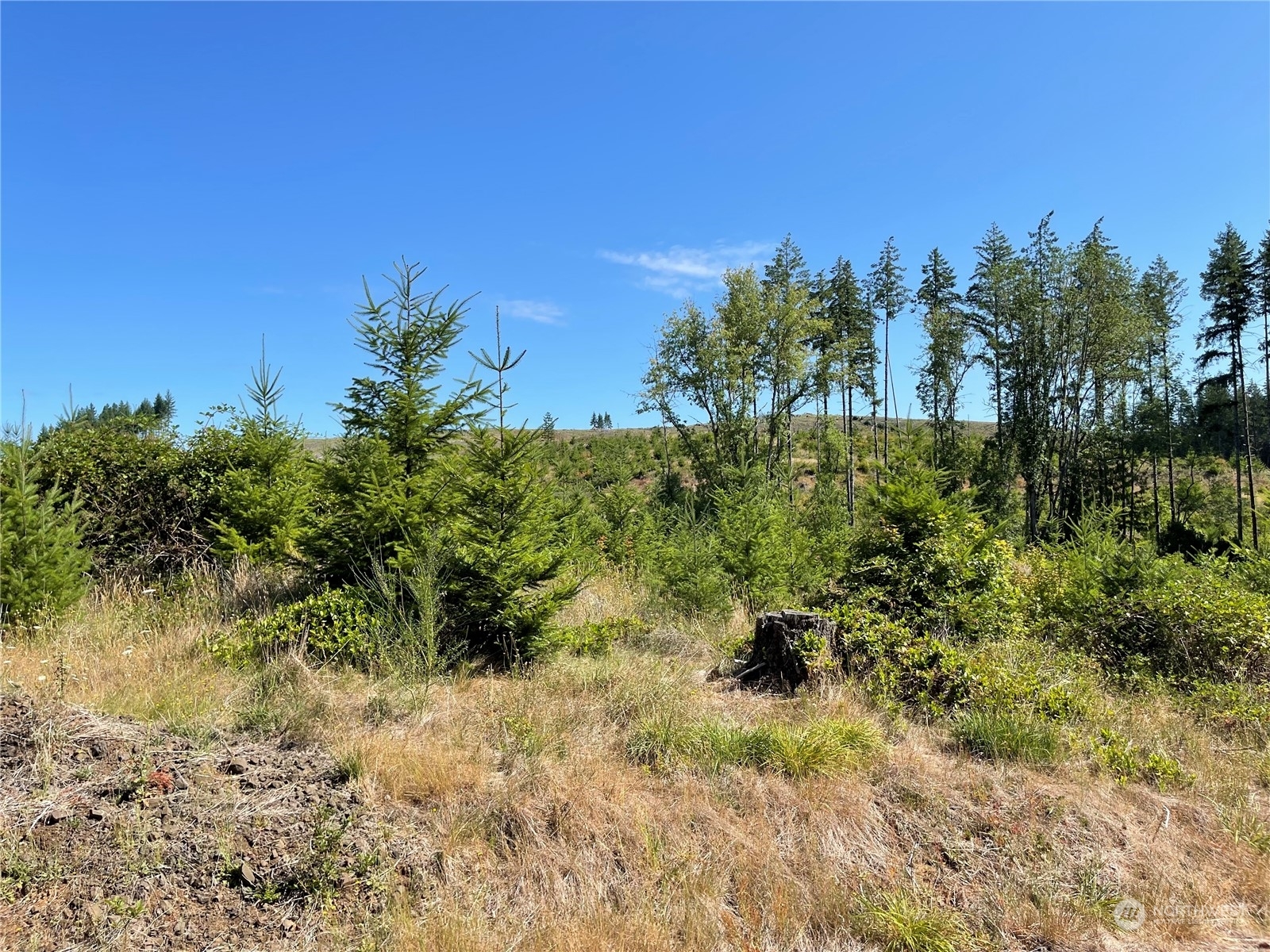 Property Photo:  0 Pe Ell McDonald Road  WA 98532 