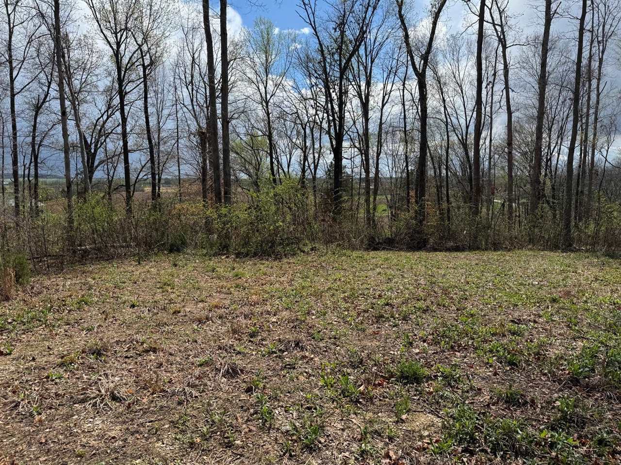 Property Photo:  215 Aubrey Mills Road  KY 42101 