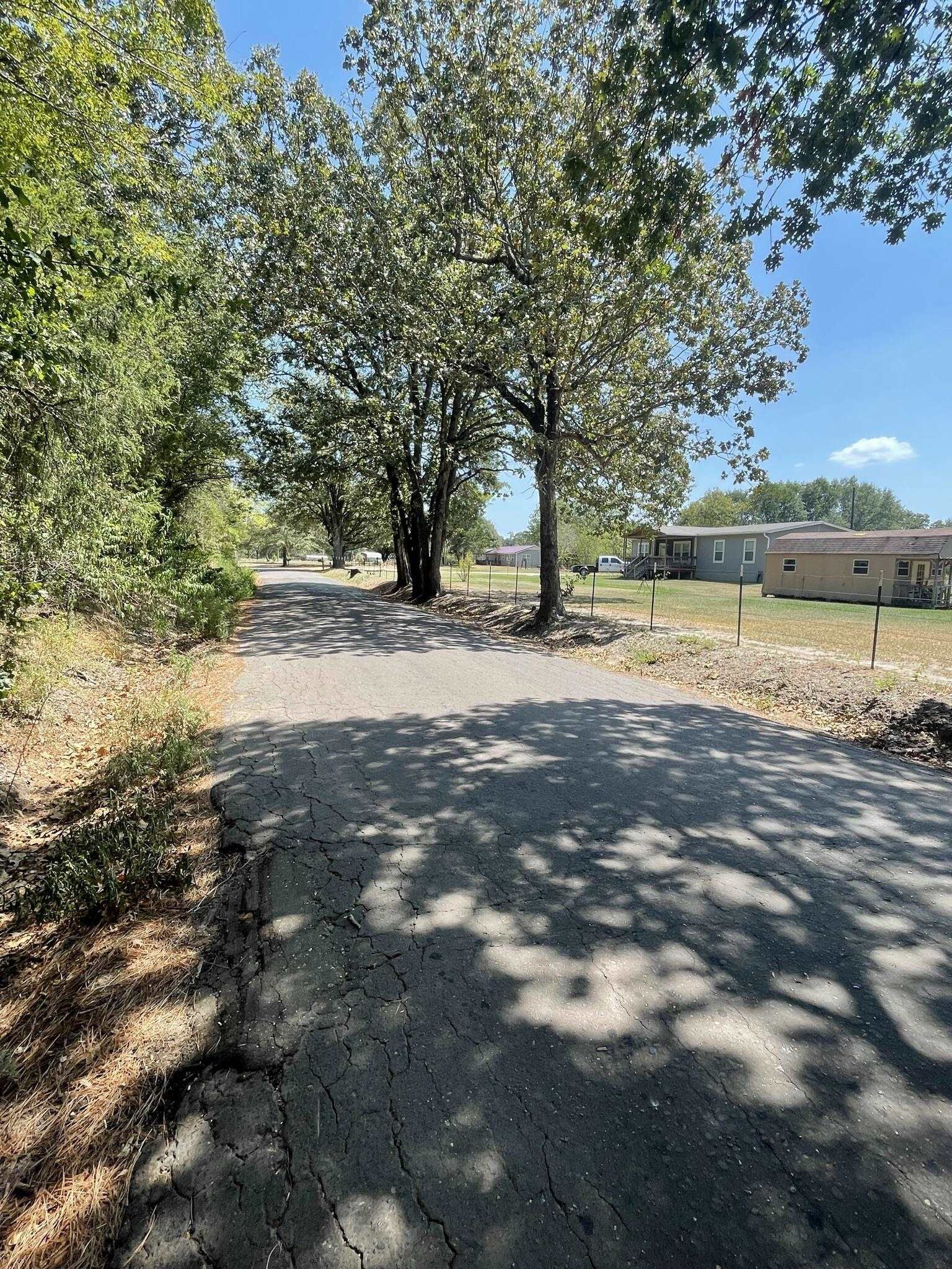Property Photo: Tbd Locust Road TX 75645