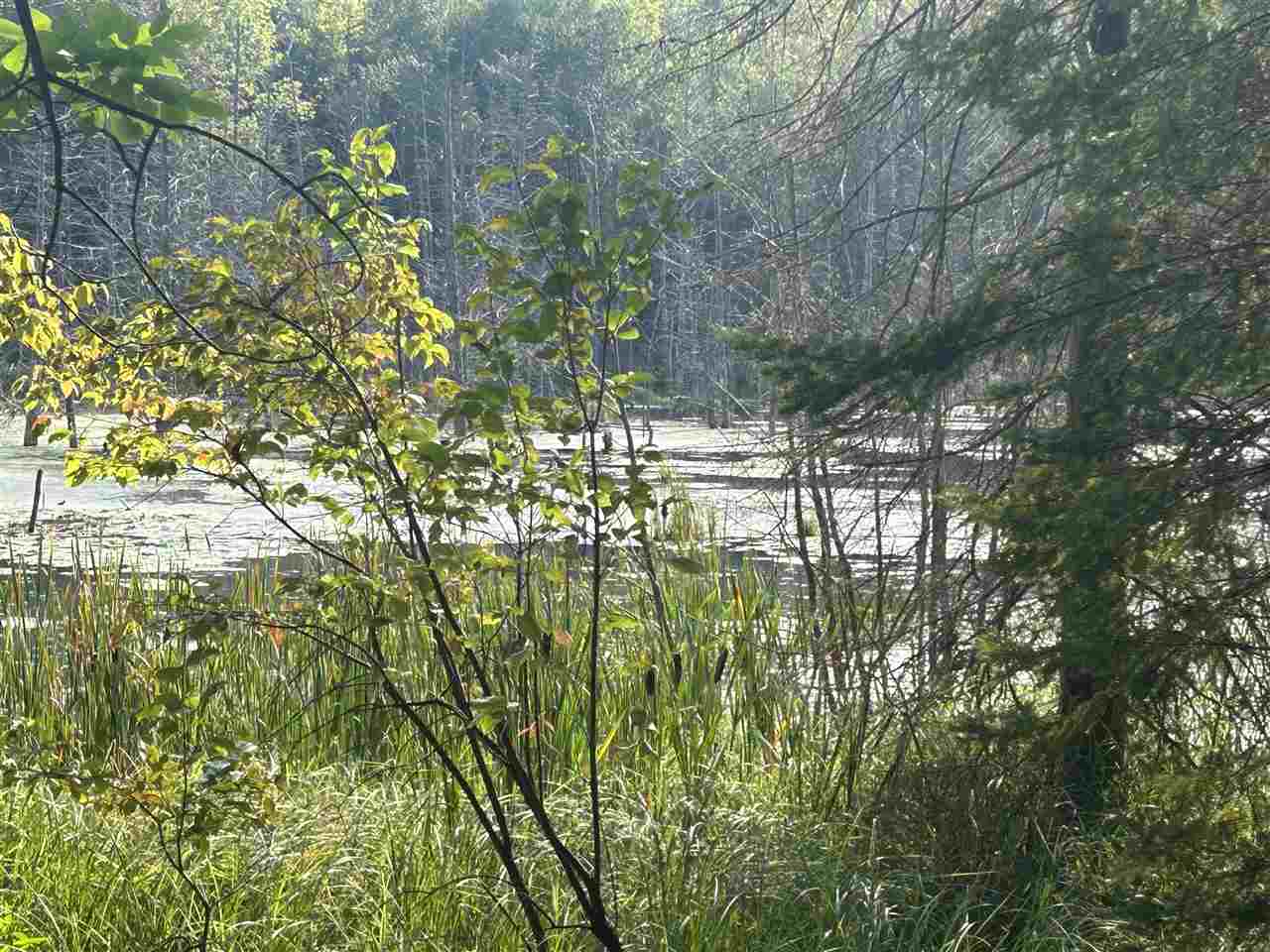 Property Photo: Tbd Lake 26 MI 49720