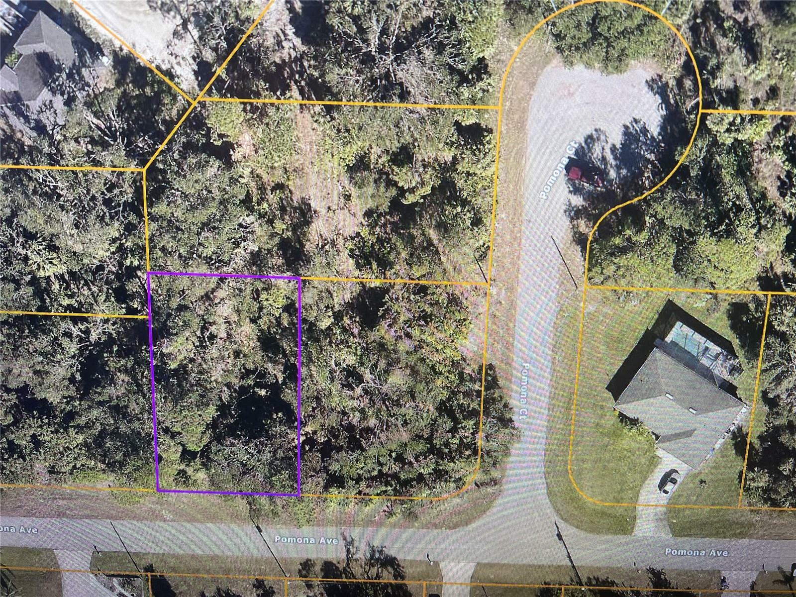 Property Photo:  Lot 24 Pomona Avenue  FL 34288 