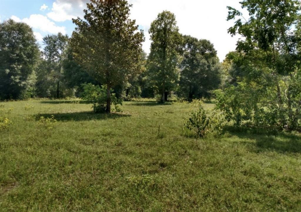 Property Photo: 134 Andrew Jackson TX 77351