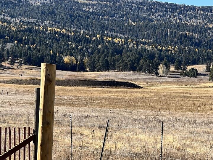 Property Photo: Lot 17 Laguna Negra Circle NM 87710