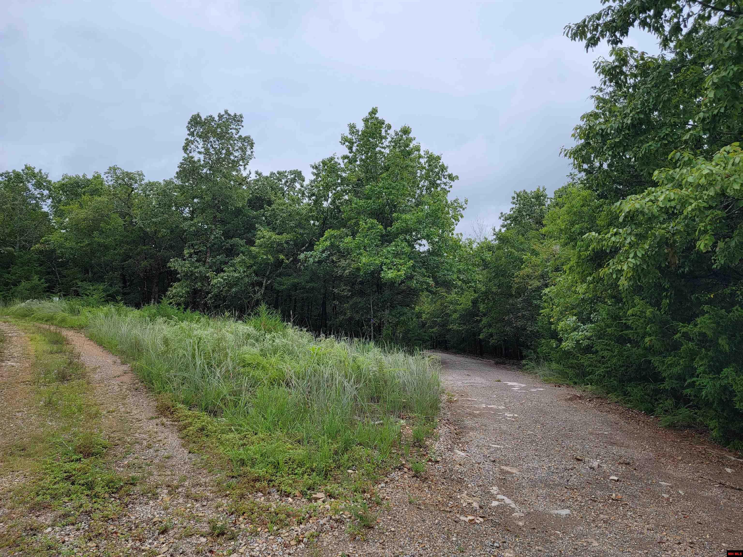 Property Photo: Lots 6-10 Hudson Bay AR 72661