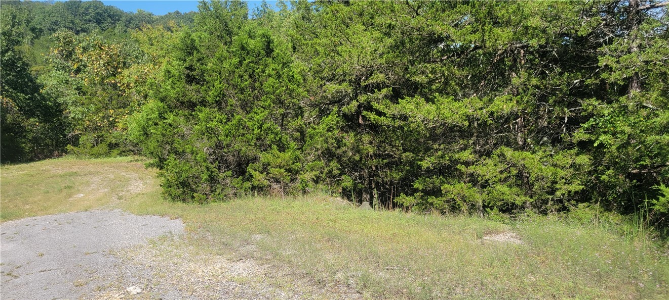 Property Photo: 5 Beaver Circle AR 72631