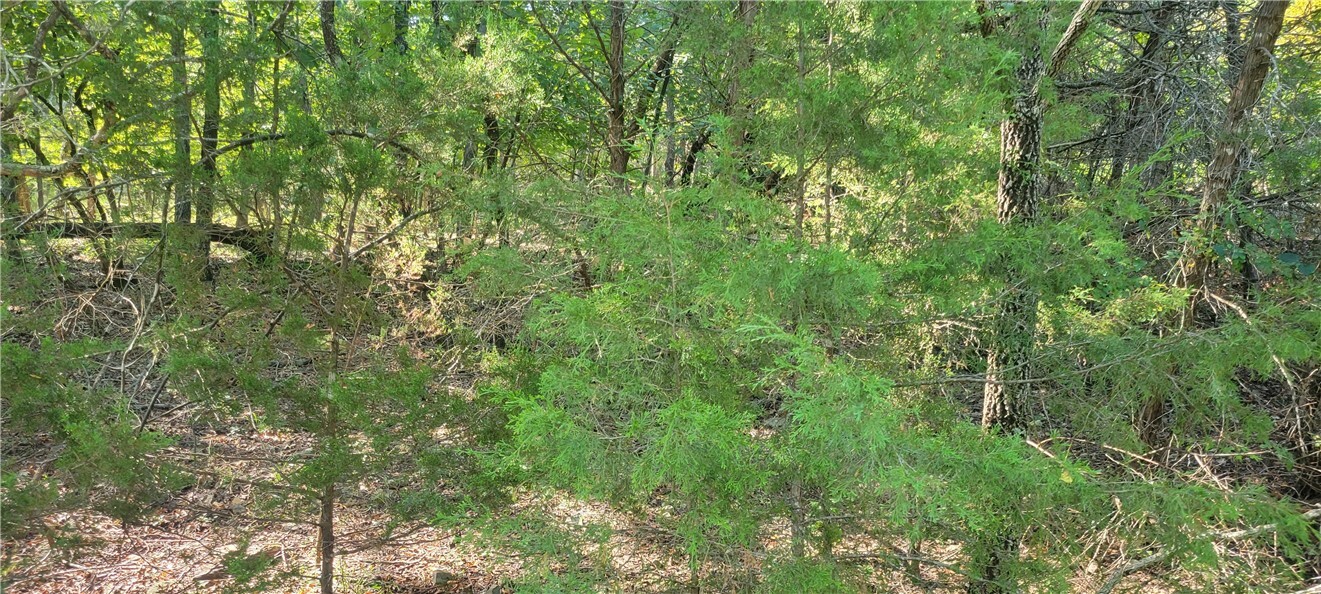 Property Photo: 19 Hickory Circle AR 72631