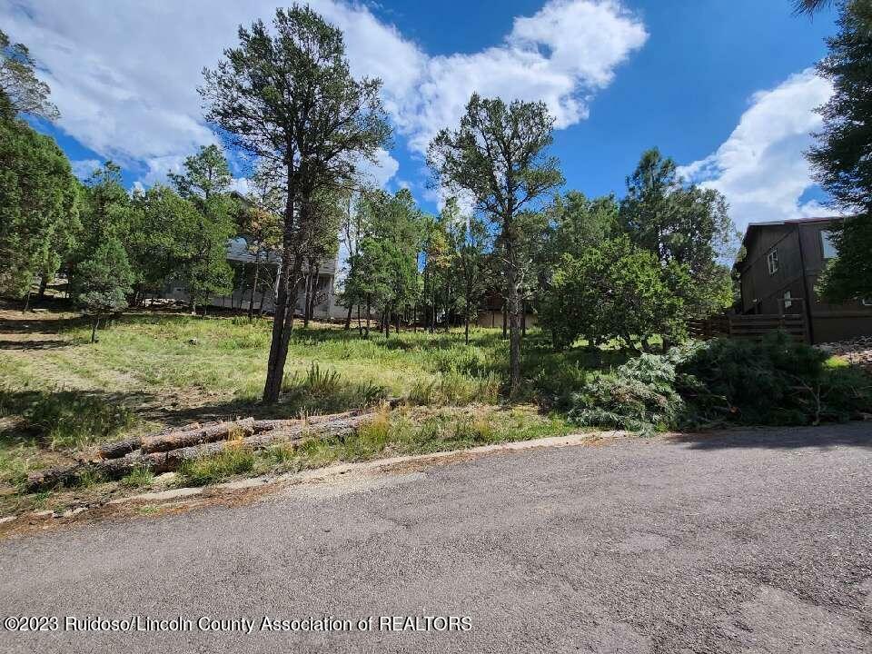 203 Marble Drive  Ruidoso NM 88345 photo