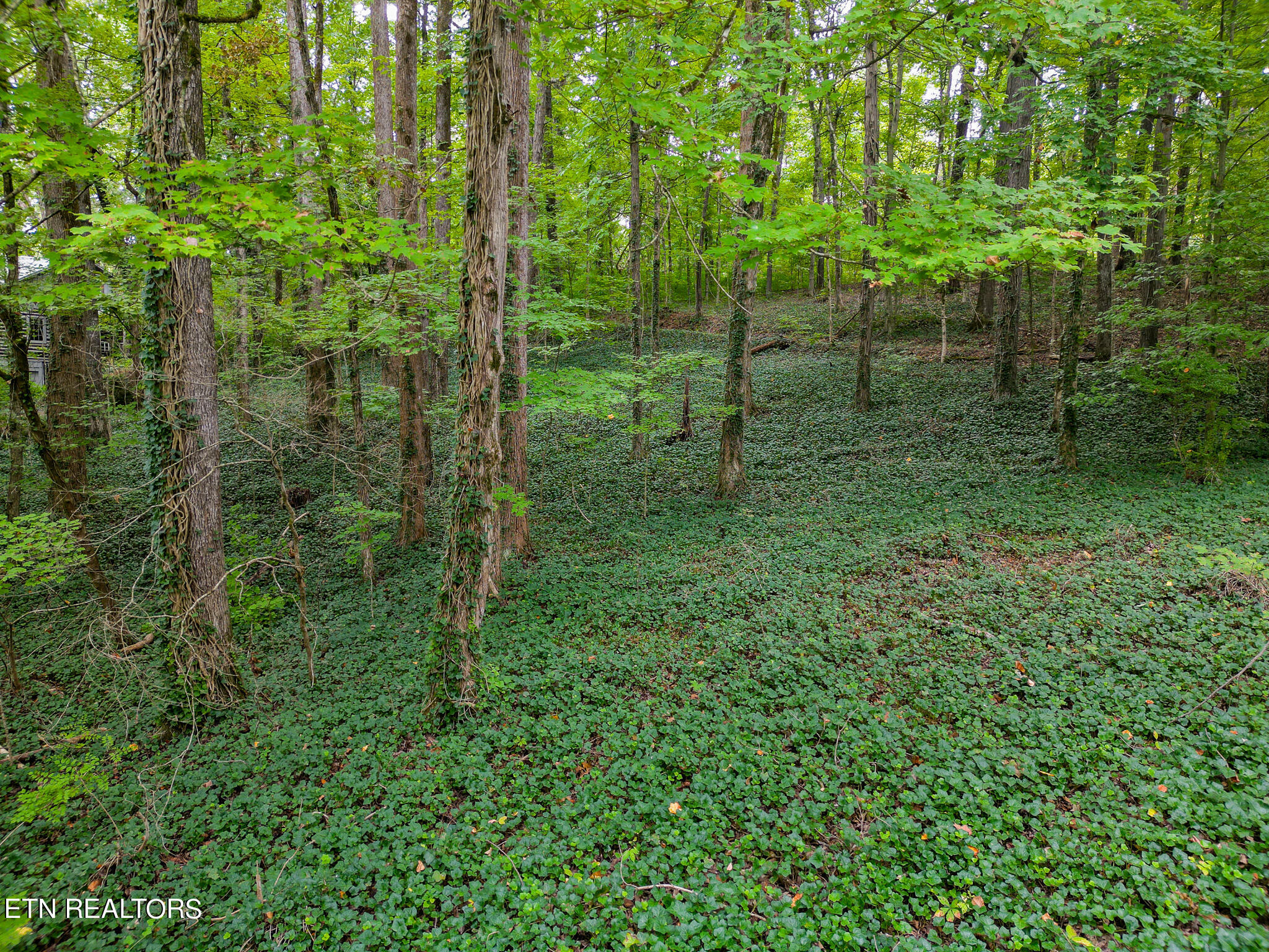 Property Photo:  1440 Tenn Nursery Rd  TN 37311 