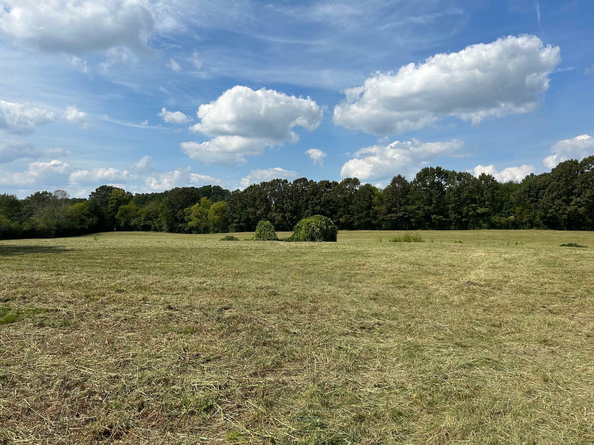 Property Photo: 00 W Madison Avenue TN 37303