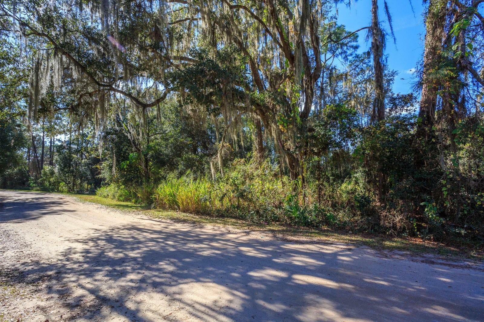 Property Photo:  Beverly Drive  FL 34736 