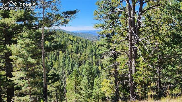 Tbd Stoner Road  Divide CO 80814 photo