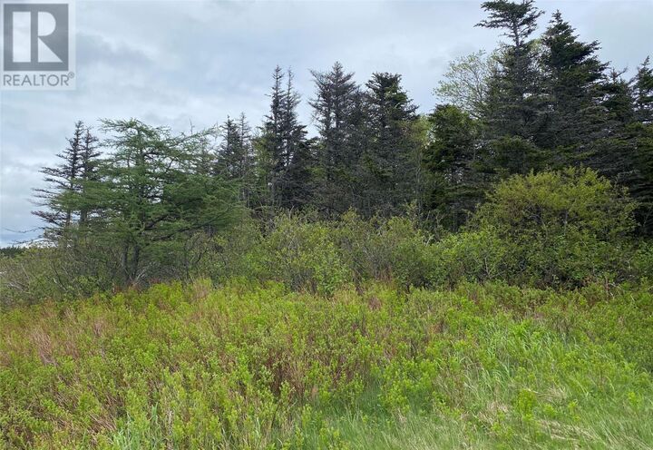 Property Photo:  75 Cameron Place  NL A1K 1C8 