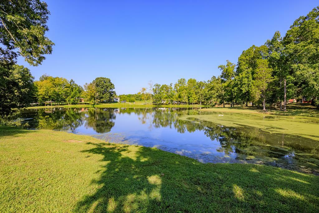 Property Photo:  324 Veeler Road  GA 30728 