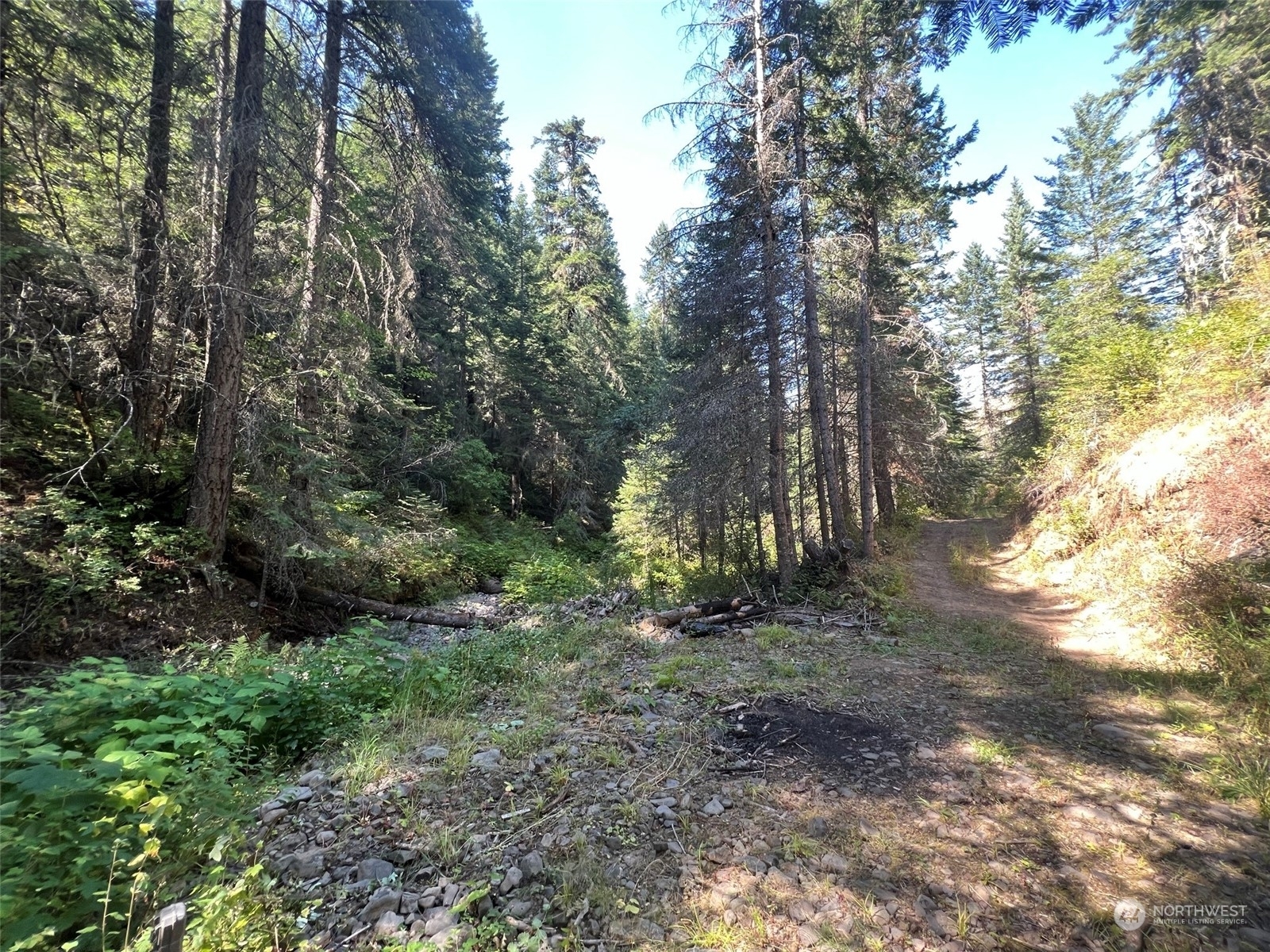 Property Photo:  0 South Fork Coppei Road  WA 99361 