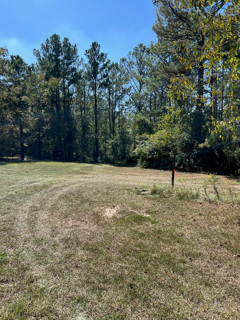 Property Photo: 117 Pine Hill Road GA 31805