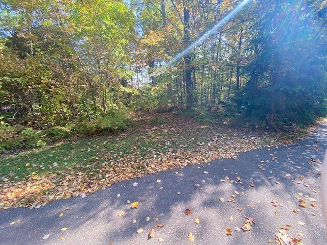 Property Photo: 0 Northwoods Trail WI 54843