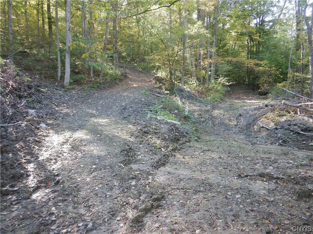 Property Photo:  0 Matson Road  NY 13835 