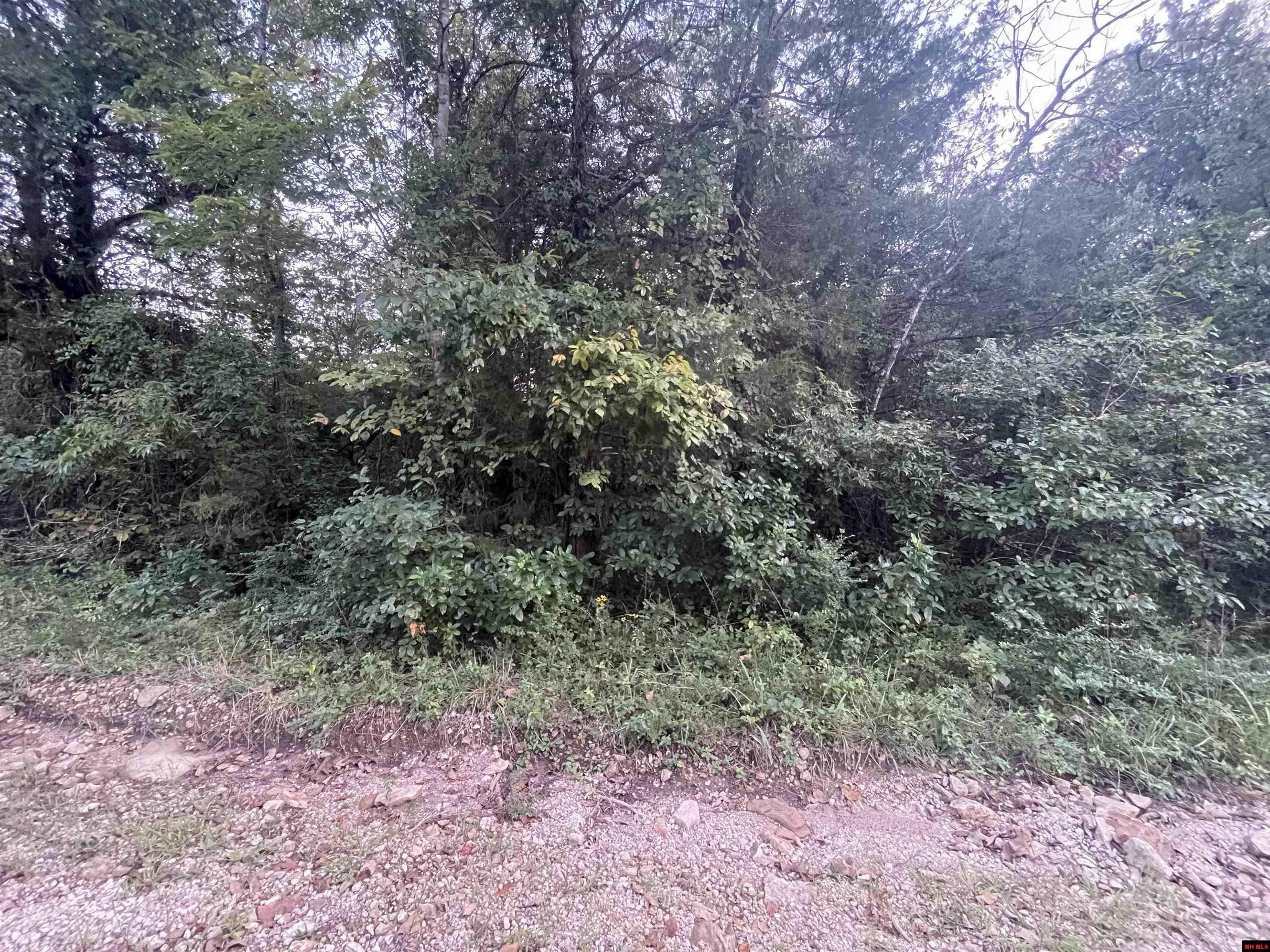 Property Photo:  Lot 41 Canary Lane  AR 72630 