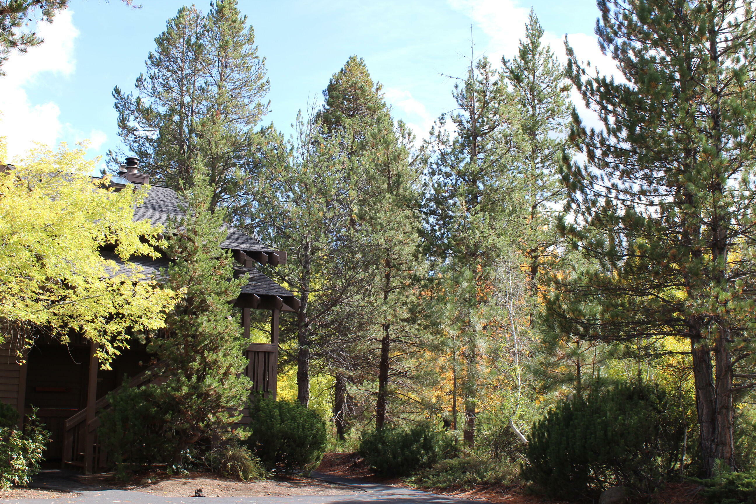 Property Photo:  57307 Beaver Ridge Loop 7C  OR 97707 