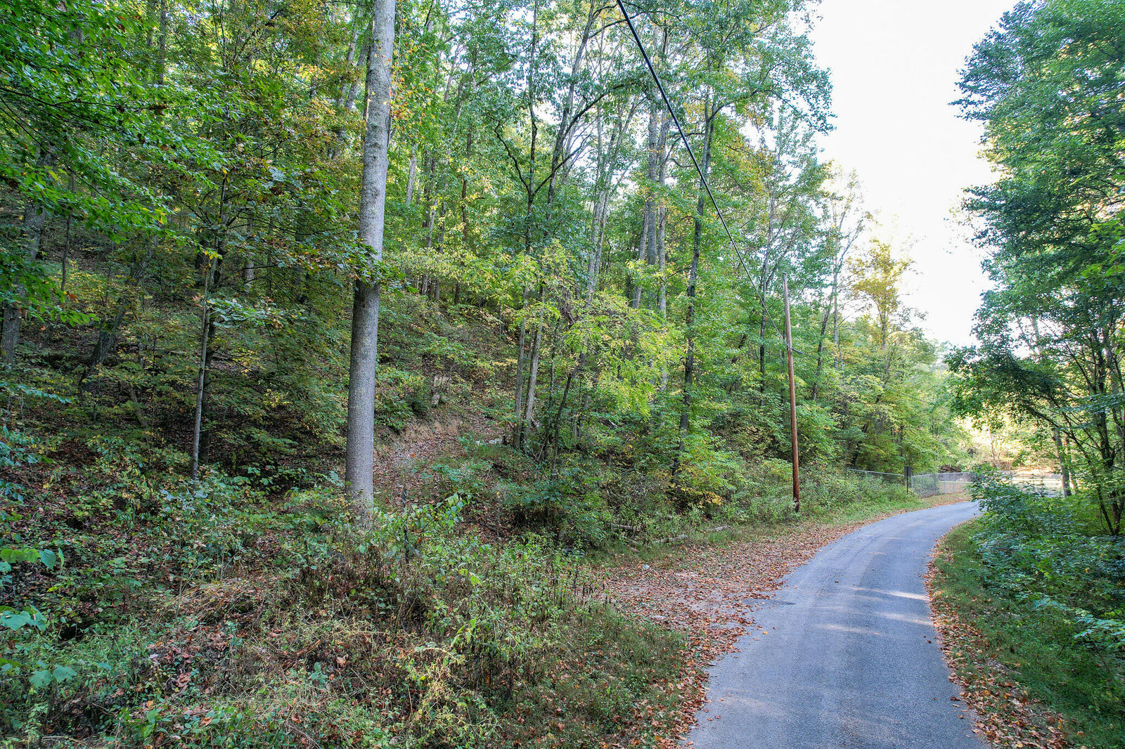 Property Photo: Lot 9 Stone Mtn. Road TN 37711