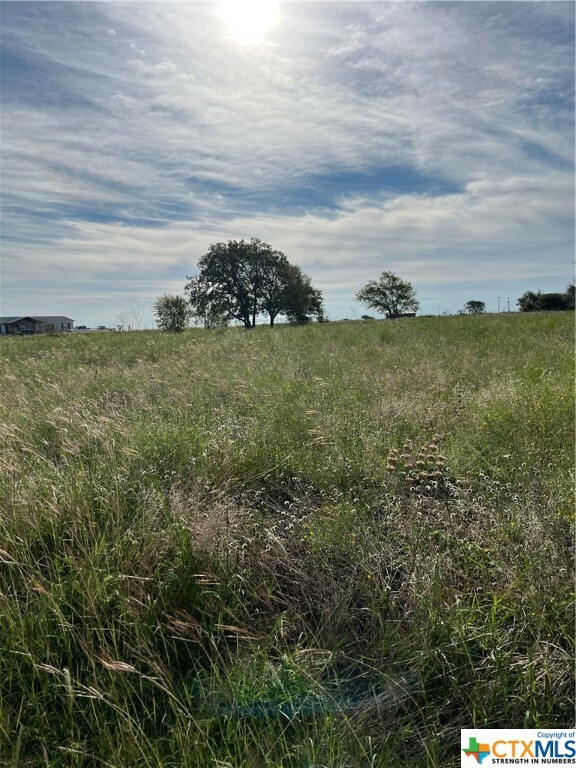 Property Photo:  4390 County Road 220  TX 76528 