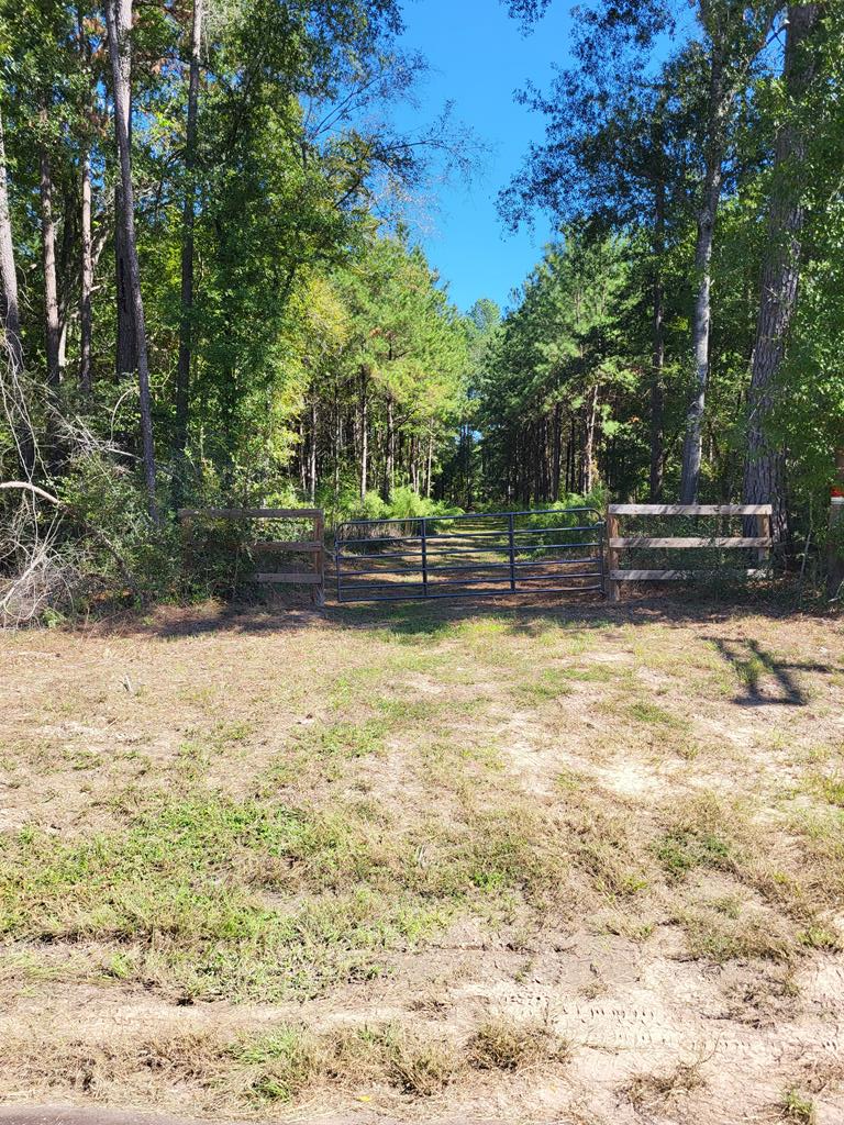 Property Photo:  5685 Peavy Switch Road  TX 75904 