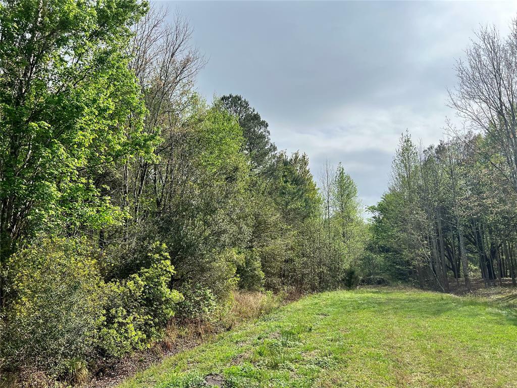 Property Photo:  Lot 270 Little Magnolia Lane  FL 32011 