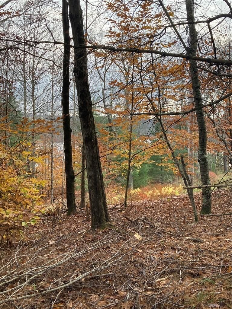 Property Photo:  140 Plank Road  NY 12762
