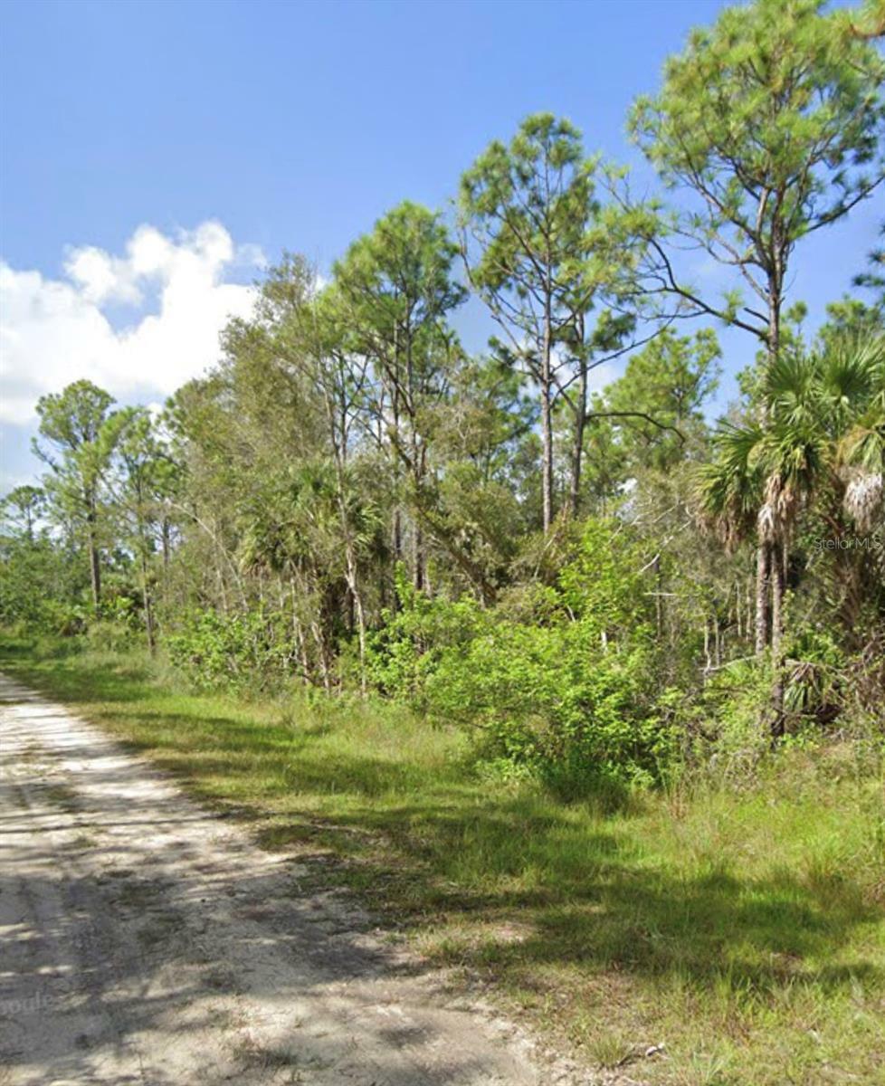 Property Photo:  12457 Caravan Drive  FL 33955 