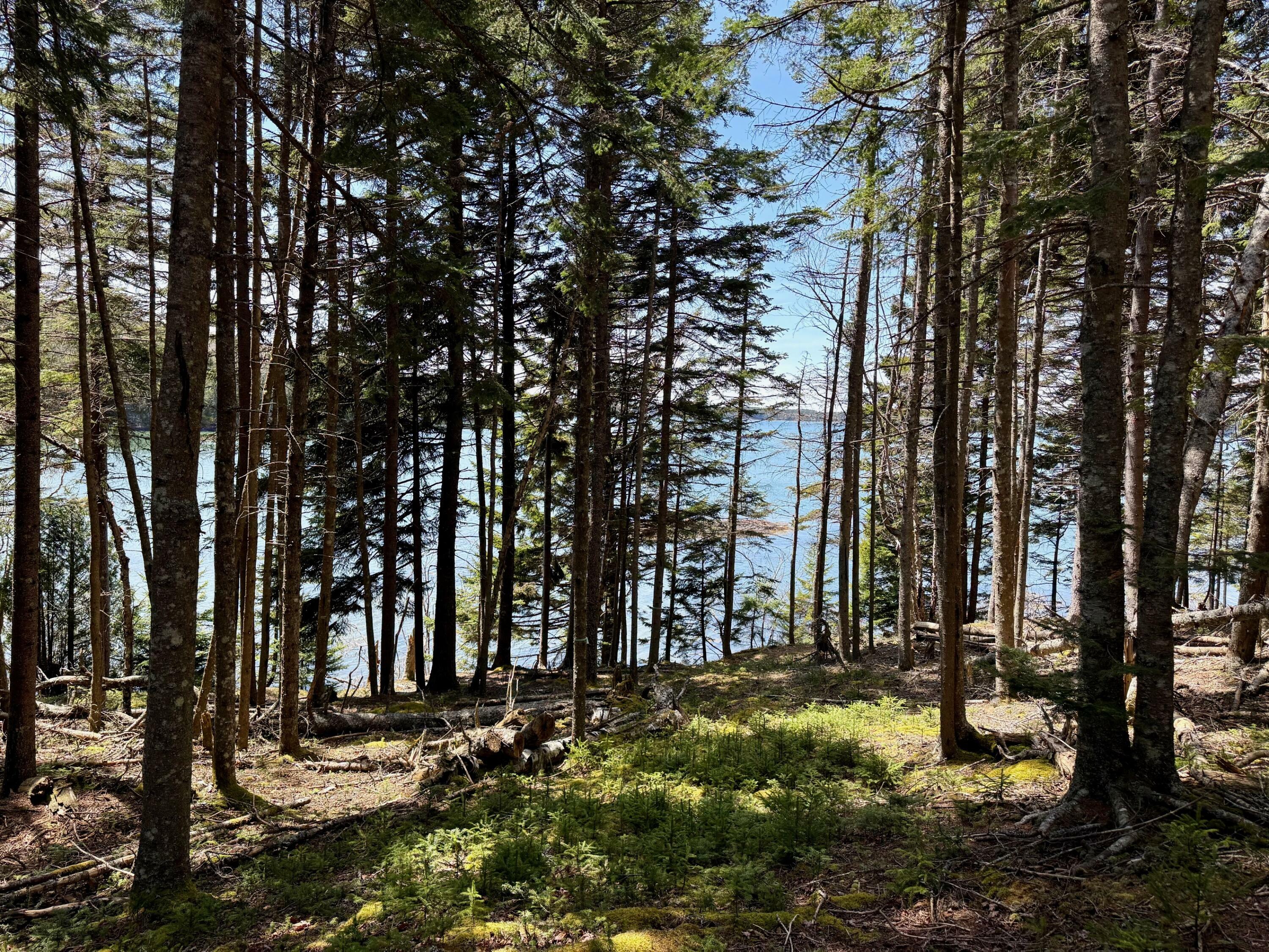 Property Photo: Lot 15 Collins Cove Road ME 04655